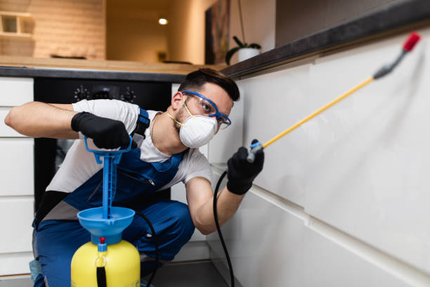 Best Best Pest Control Companies  in River Forest, IL