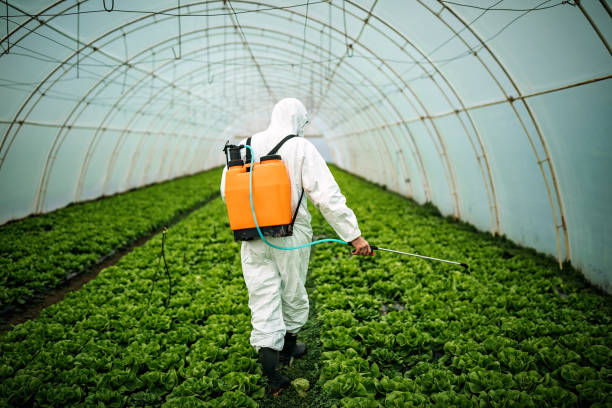 Best Pest Removal Services  in River Forest, IL