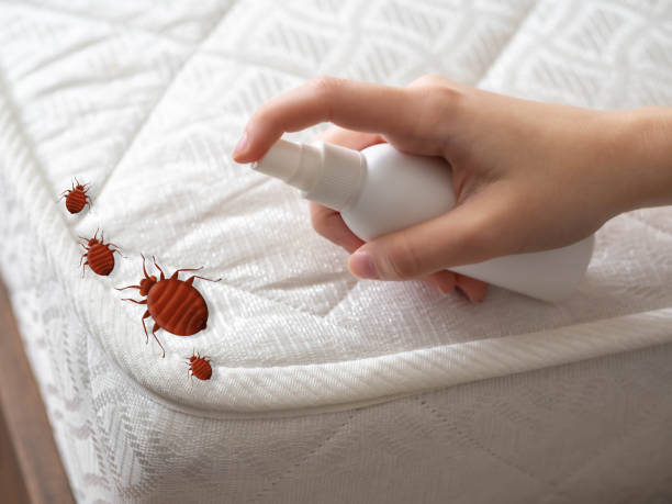 Best Emergency Pest Control  in River Forest, IL