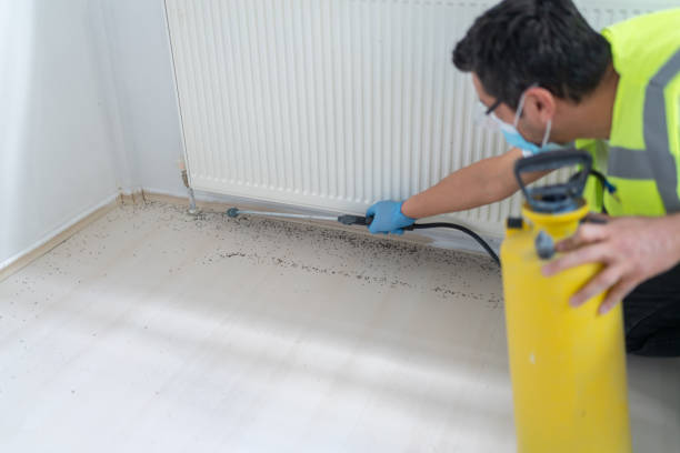  River Forest, IL Pest Control Pros